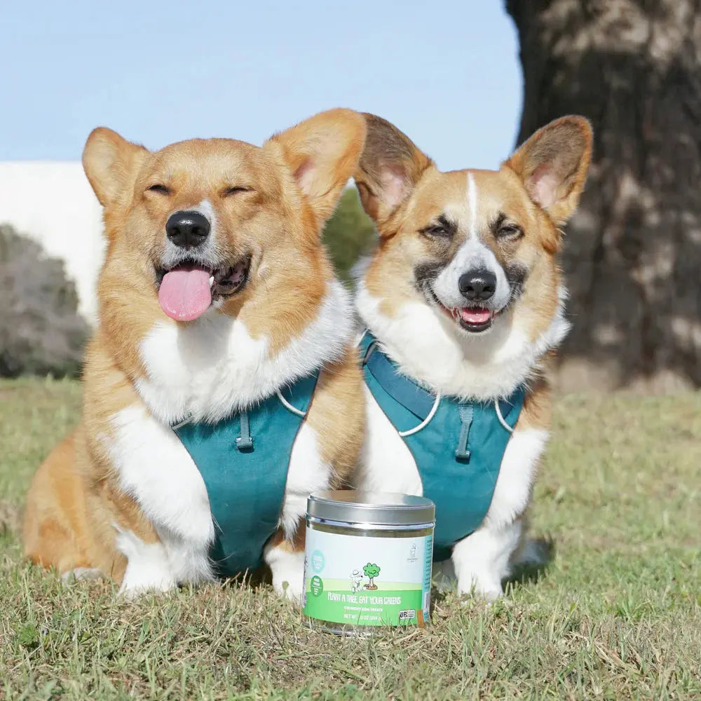 Shameless Pets Plant A Tree, Eat Your Greens Crunchy Dog Treats Shameless Pets