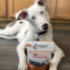 Shameless Pets Pumpkin Nut Par-tay Soft Baked Dog Treats Shameless Pets