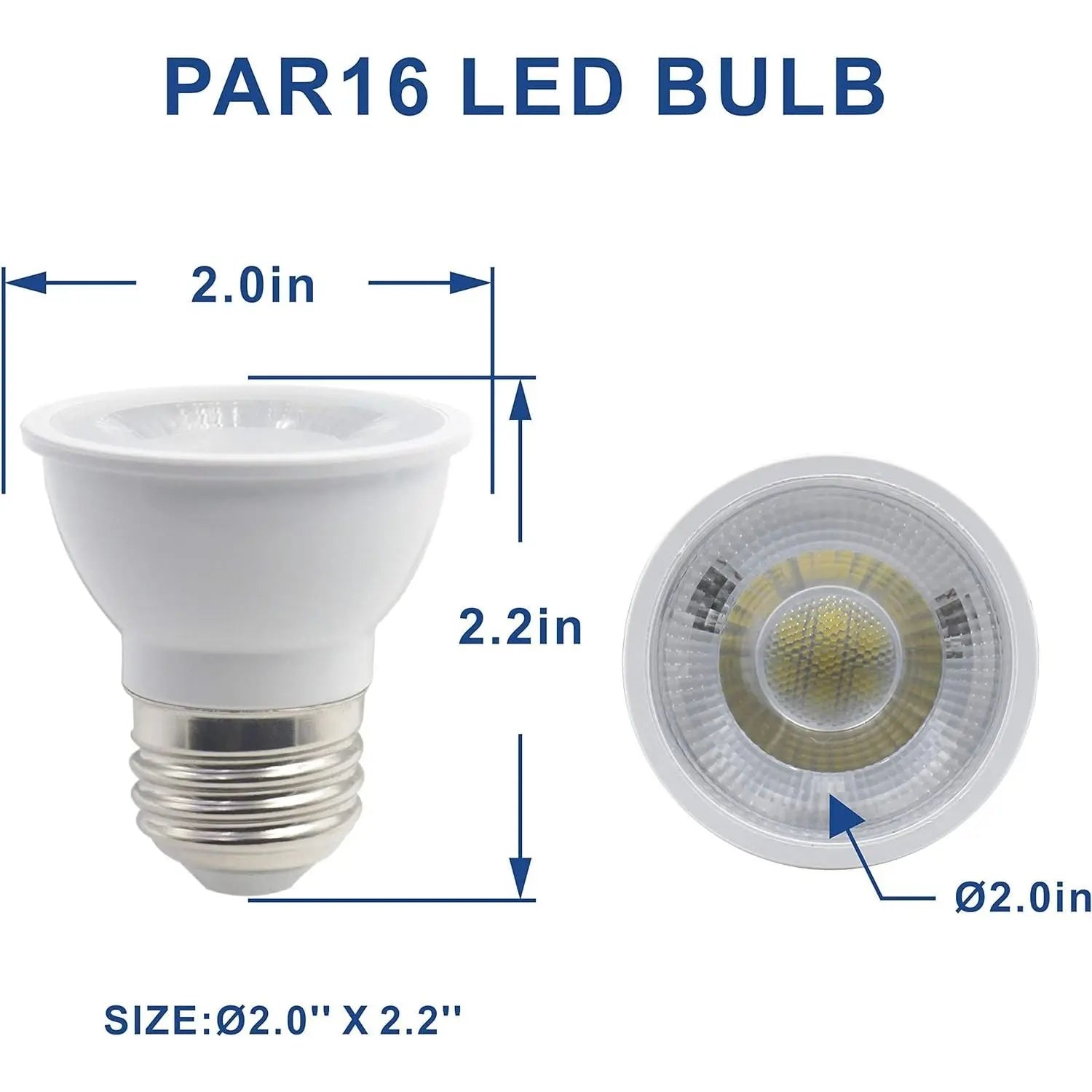 Talis-us LED Light for Ant Nest Ants Farm Insect Cages Spotlight for Formicarium Talis Us