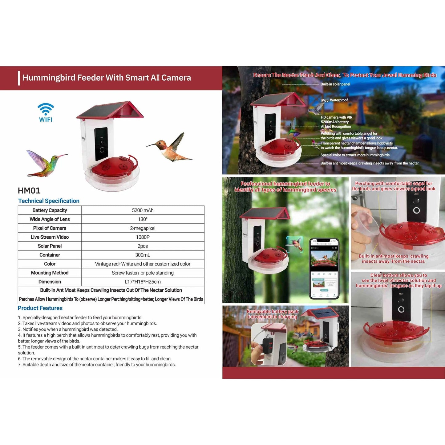 Talis-us Professional Hummingbird Feeder with Smart Al Camera Talis Us