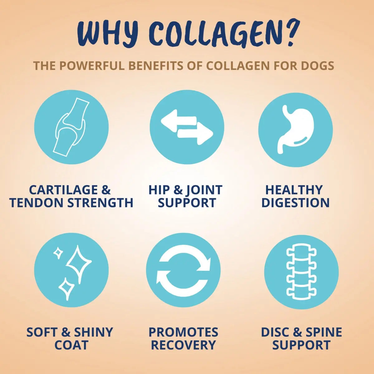 Under the Weather Collagen Soft Chew for Dogs 3.5oz Under the Weather