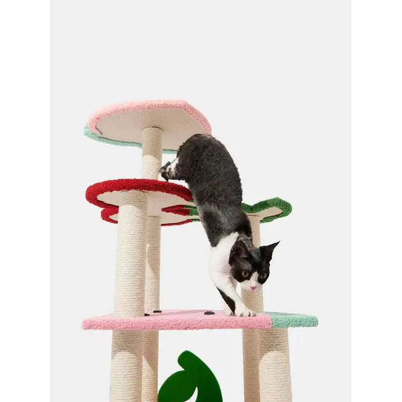 Vetreska Fruit Frenzy Cat Climber VETRESKA