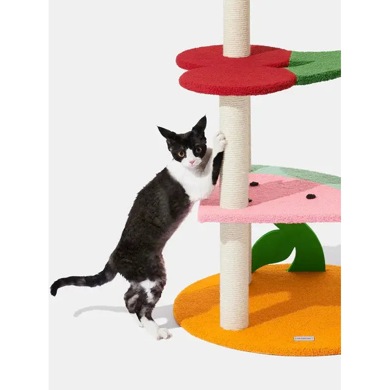 Vetreska Fruit Frenzy Cat Climber VETRESKA