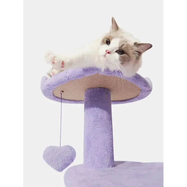 Vetreska Heartpurrple Cat Climber VETRESKA