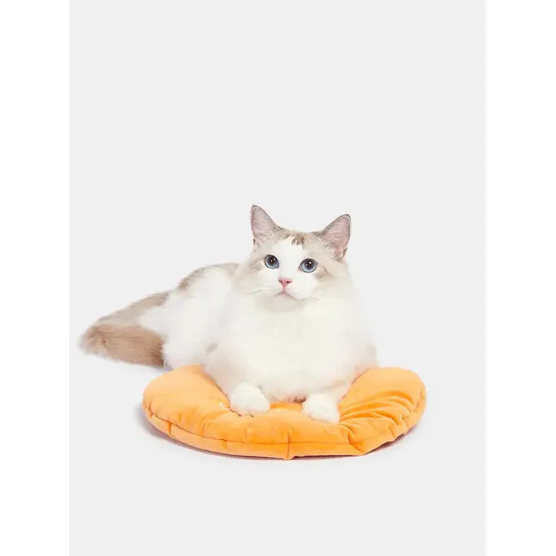 Vetreska Tangerine Rattan Pet Bed VETRESKA