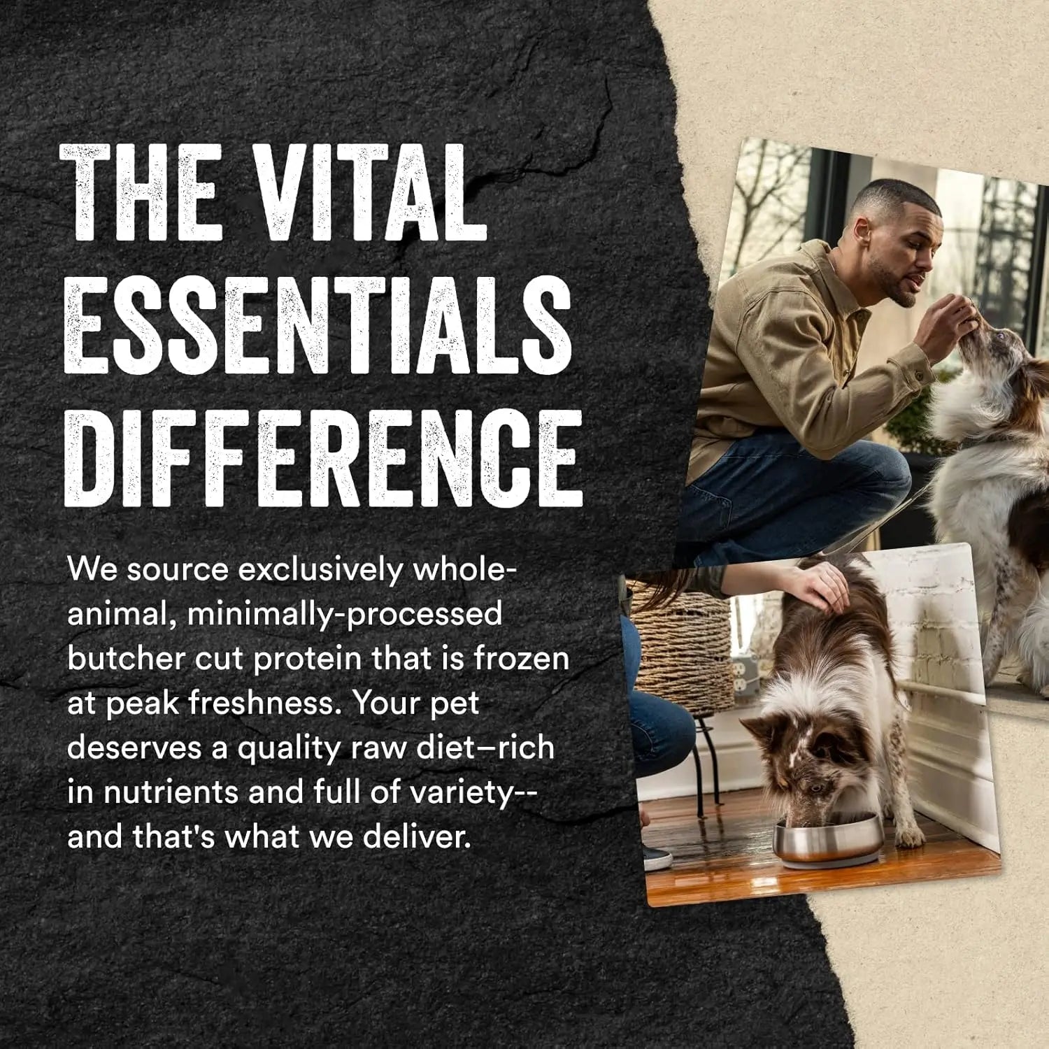 Vital Cat® Freeze-Dried Minnows Cat Treats Vital Essentials®