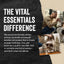 Vital Essentials® Freeze-Dried Minnows Dog Treats Vital Essentials®