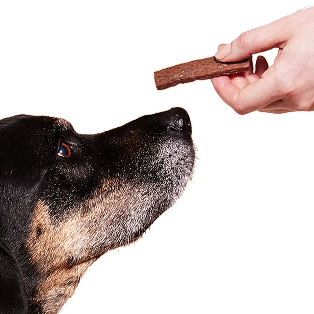 WOOF Super Strips Protein-Rich Dog Treats Woof Pet