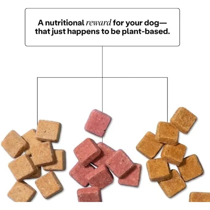 Wild Earth Superfood Vegan Dog Treats with Koji, Strawberry Beet 5oz Wild Earth