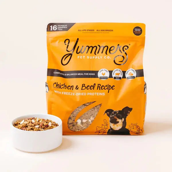 Yummers Chicken & Beef Recipe with Freeze Dried Proteins Dog Food Yummers