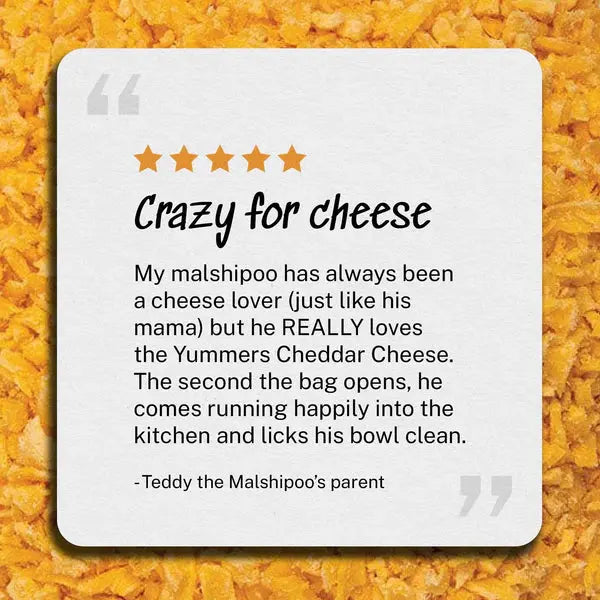 Yummers Freeze Dried Cheddar Cheese Gourmet Meal Mix in for Dogs Food Topper, 2.5 oz Yummers