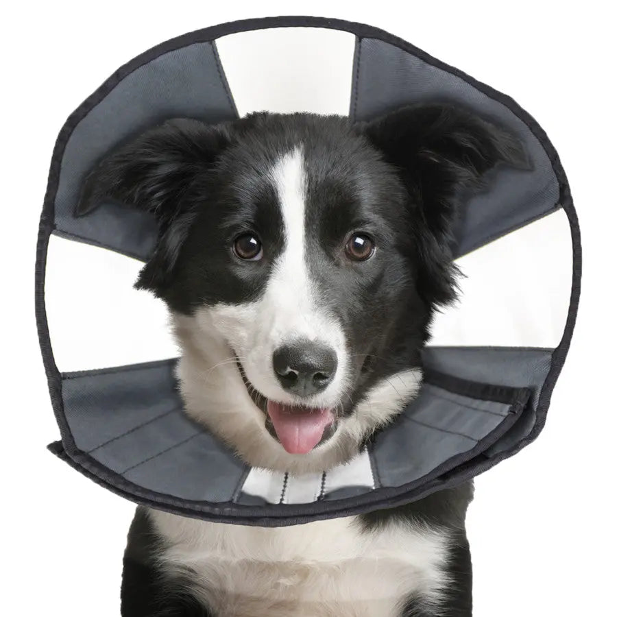 ZenPet Zen Cone Soft Recovery Collar CS Tech