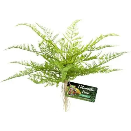 Zoo Med Naturalistic Flora Terrarium Plants Zoo Med Laboratories