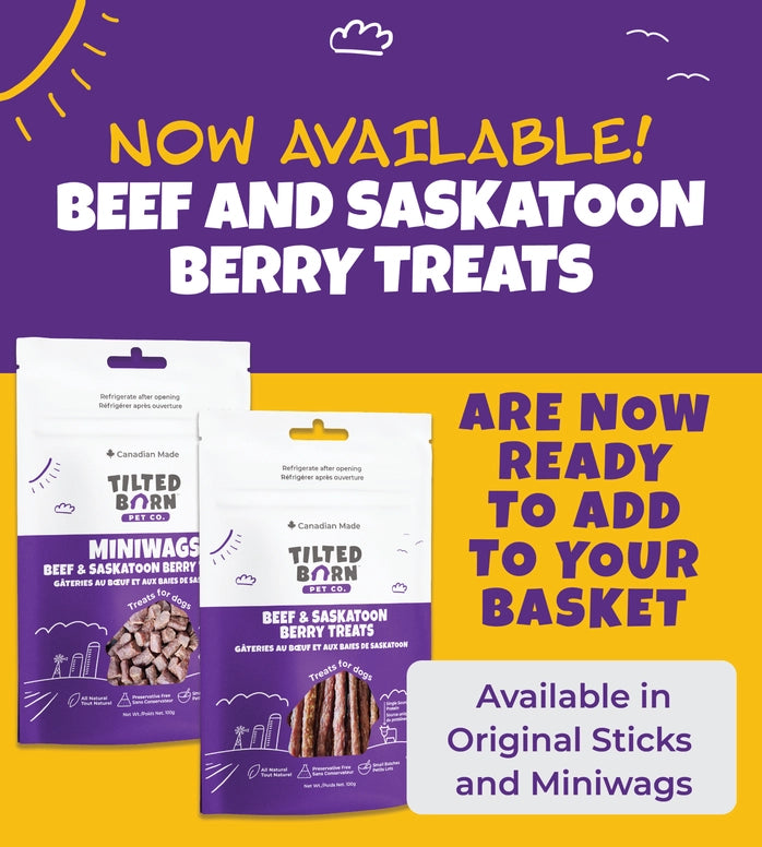 Tilted Barn Pet Beef & Saskatoon Berry Recipe Soft & Chewy Dog Treats 3.53oz