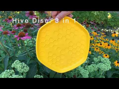 Hive Disc 3 in 1 Dog Toy