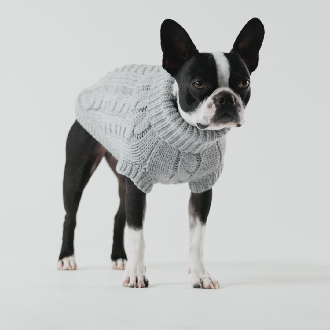 Dog Sweater