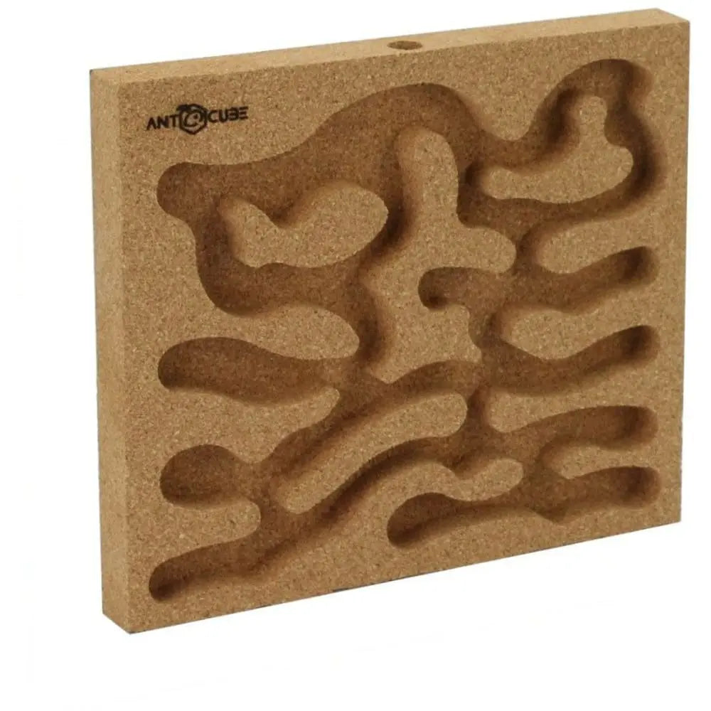 ANTCUBE Starter Set L – 20×20cm – Cork Antcube