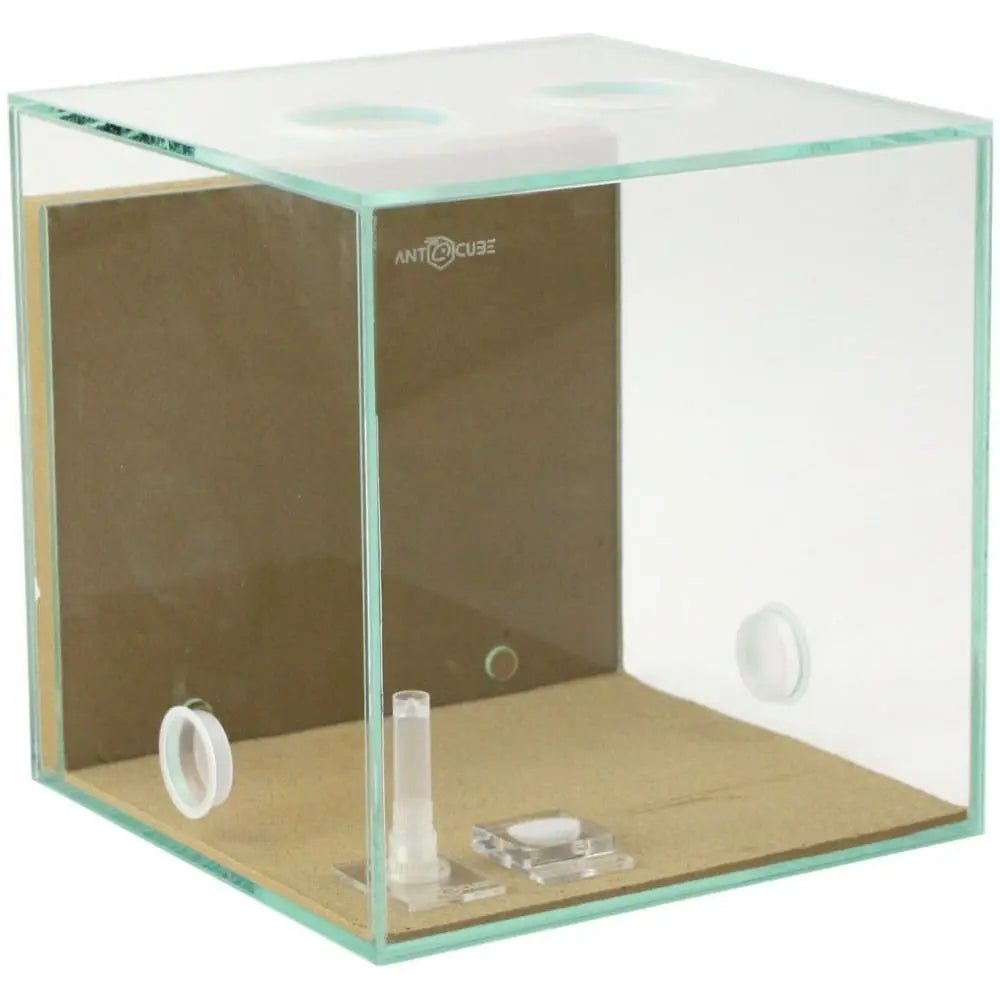 ANTCUBE Starter Set S – 20×20cm – Combi Antcube