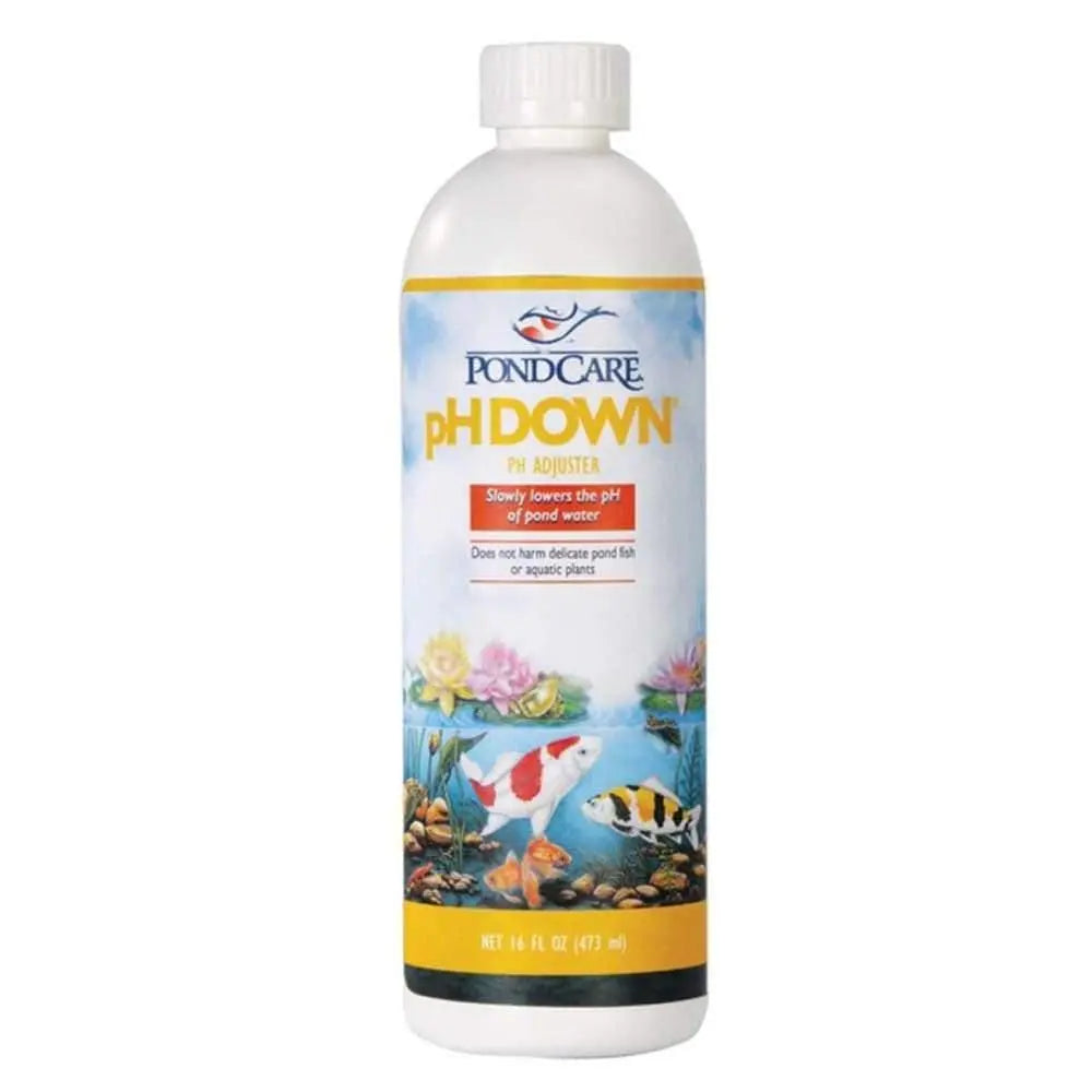 API Pond pH Down Solution 16 oz API® CPD