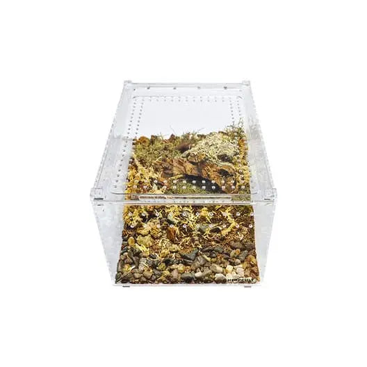 Acrylic Enclosure Clear Top Reptile Breeding Box Terrarium Cage for Insect Tarantulas Amphibians HerpCult