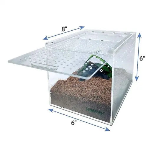 Acrylic Enclosure Medium Flat Reptile Habitat Terrarium cage for Terrestrial Arboreal Tarantula HerpCult