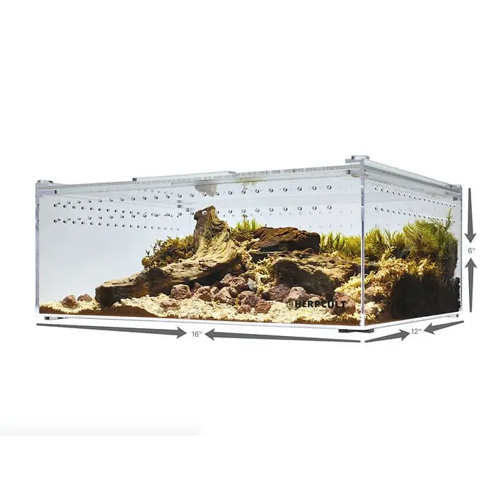 Acrylic Enclosure XLarge Clear Top Transparent Reptile Breeding Box Terrarium Cage Tank for Geckos, HerpCult