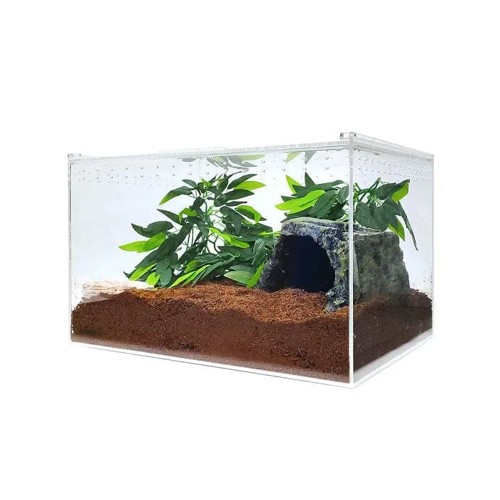 Acrylic Enclosure XLarge Clear Top Transparent Reptile Breeding Box Terrarium Cage Tank for HerpCult