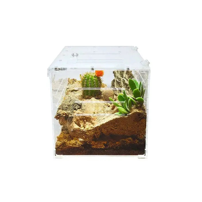 Acrylic Two Way Enclosure Large Transparent Reptile Breeding Box Terrarium Cage Tank for Reptiles, HerpCult