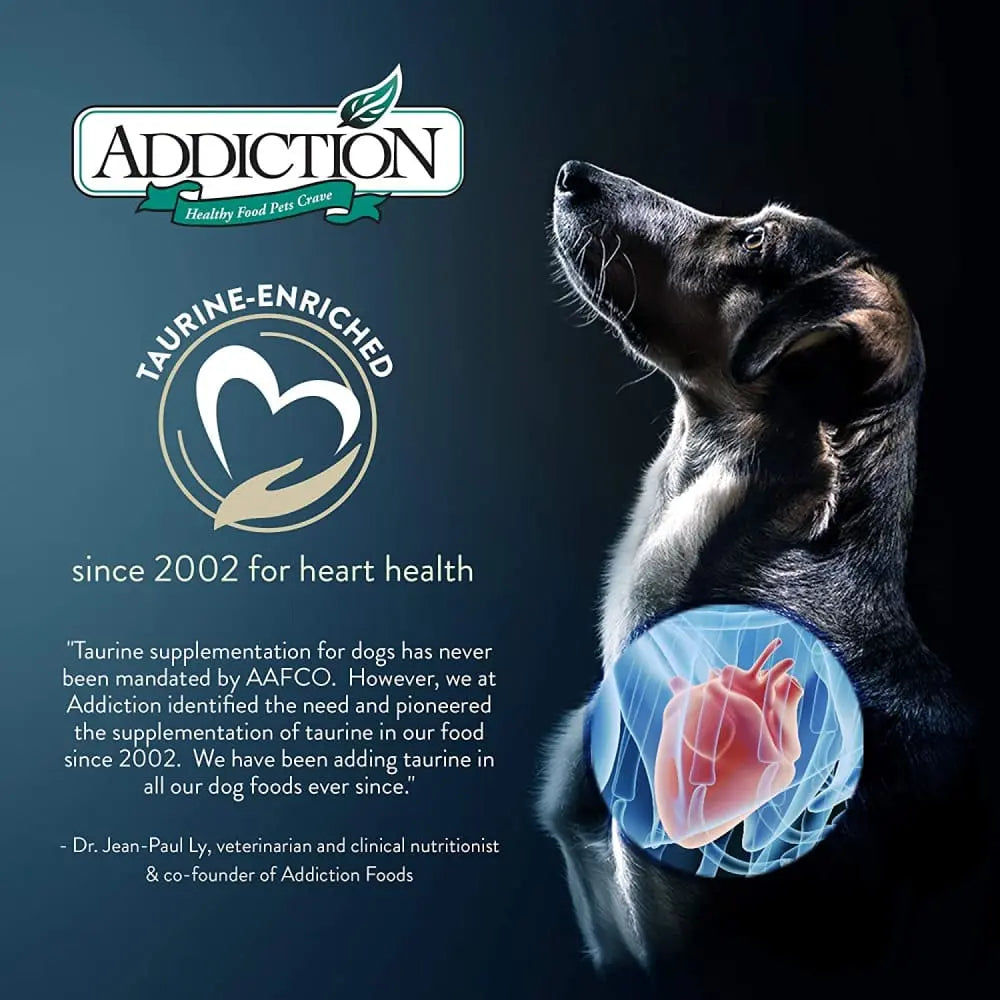 Addiction Le Lamb Grain Free Dry Dog Food Addiction