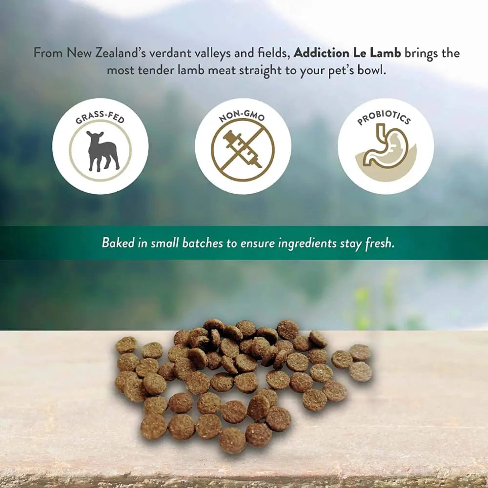 Addiction Le Lamb Grain Free Dry Dog Food Addiction