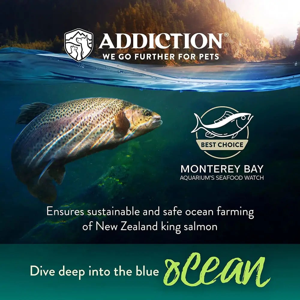 Addiction Salmon Bleu Balanced Diet Skin and Coat Health Formula Dry Cat Food Addiction