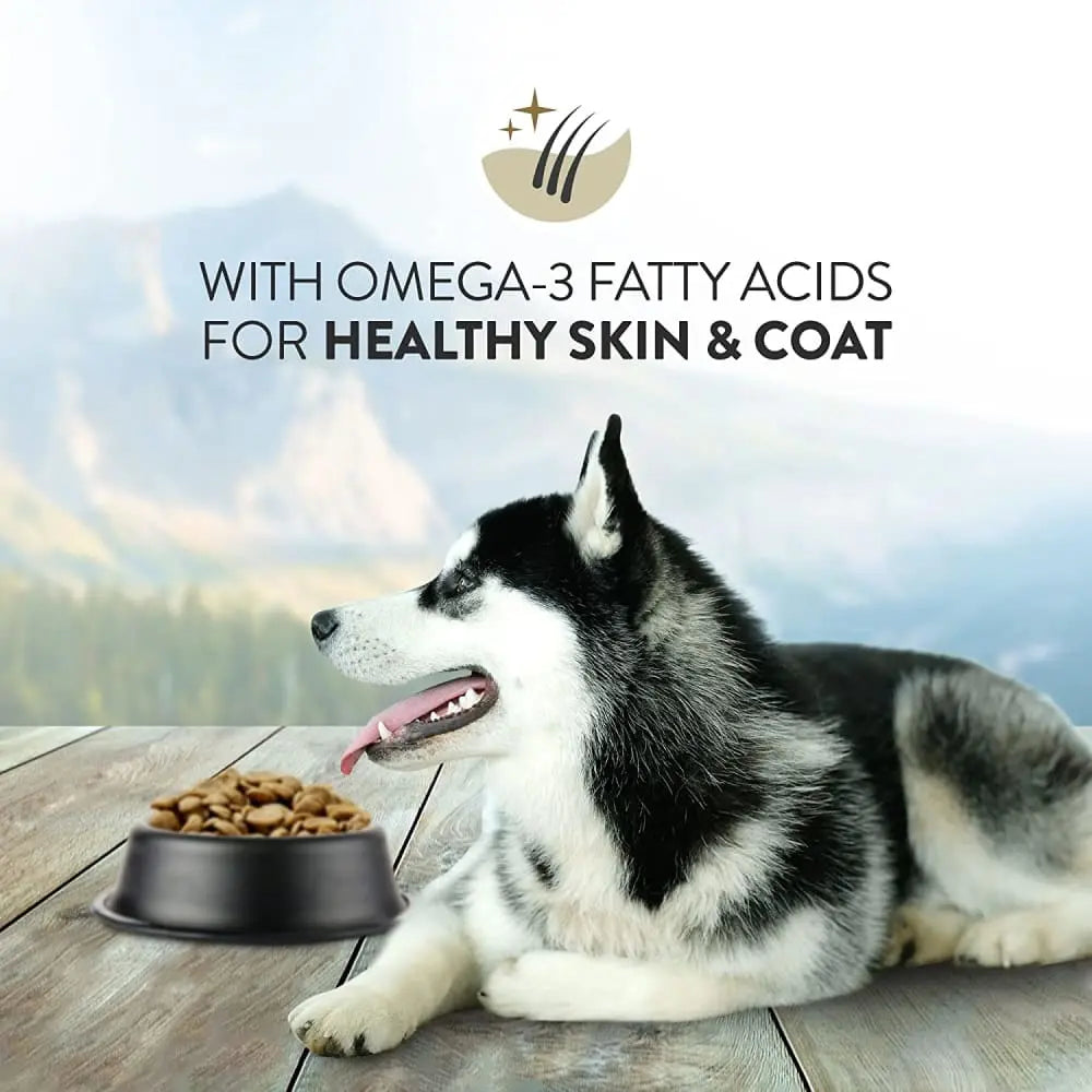 Addiction Salmon Bleu Dog Skin and Coat Health Dry Dog Food Addiction