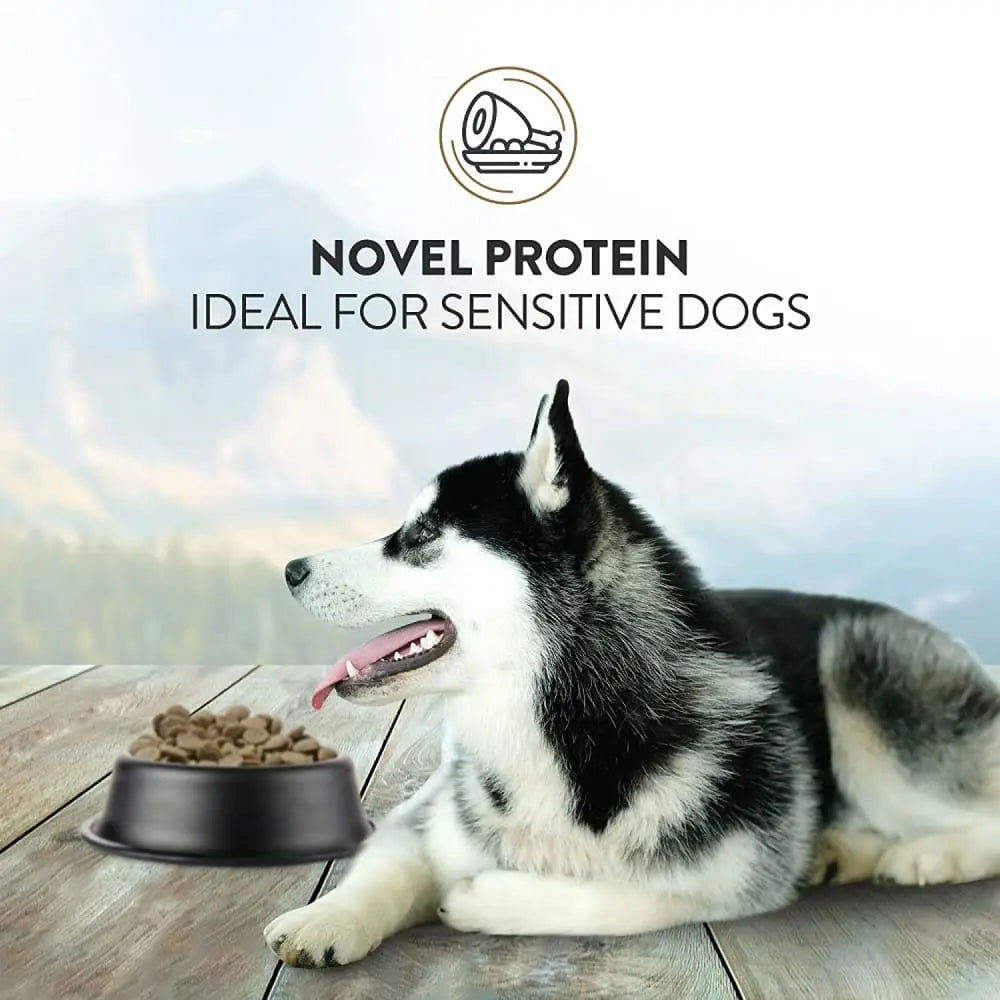 Addiction Viva La Venison Grain Free Dry Dog Food Addiction