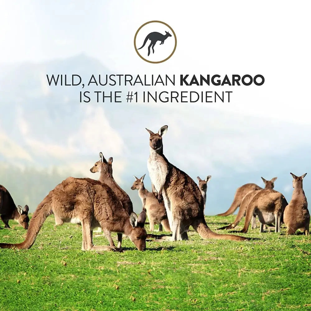 Addiction Wild Kangaroo & Apples Limited Ingredient Premium Protein Dry Dog Food Addiction