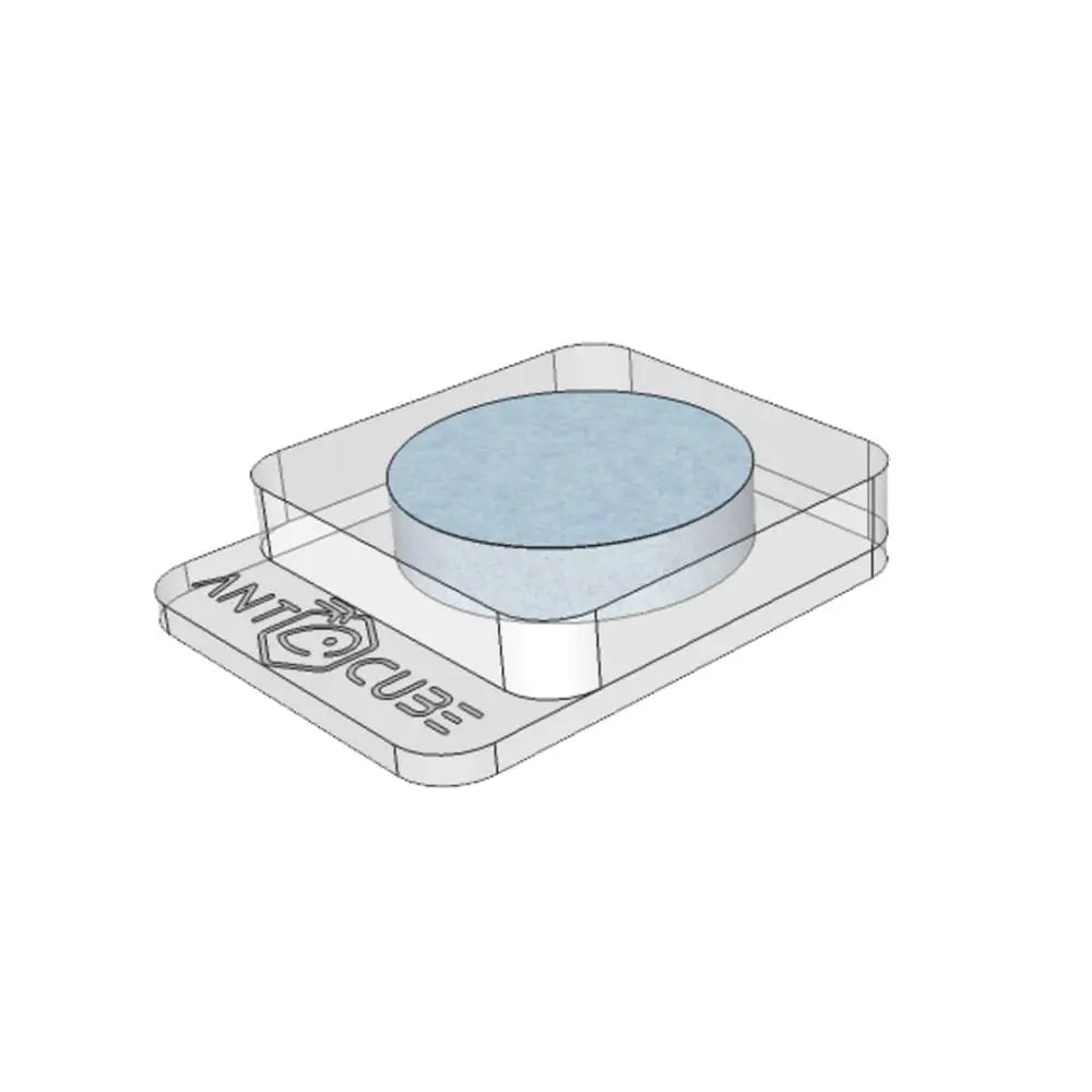 AntsDish Clear 1x20 - sponge Antcube