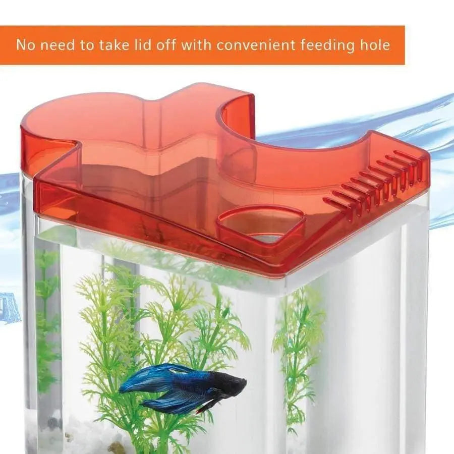 Aqueon Betta Puzzle Aquarium Kits Aqueon® CPD