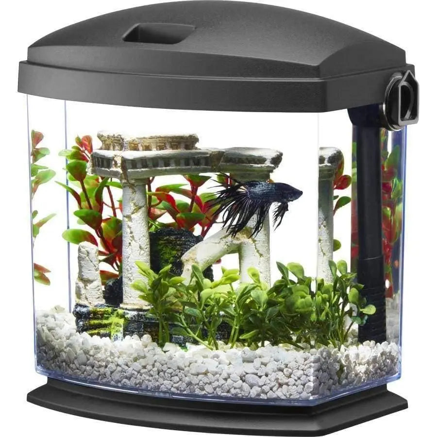 Aqueon BettaBow with Quick Clean Technology Aquarium Kit, Black Aqueon® CPD