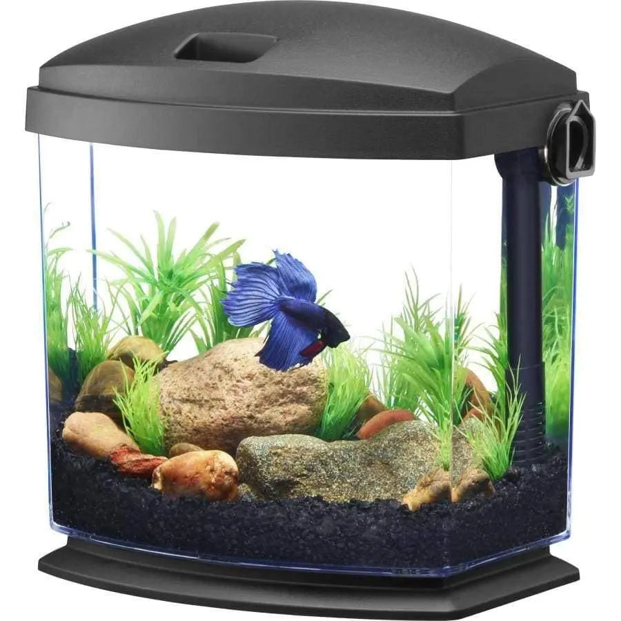 Aqueon BettaBow with Quick Clean Technology Aquarium Kit, Black Aqueon® CPD