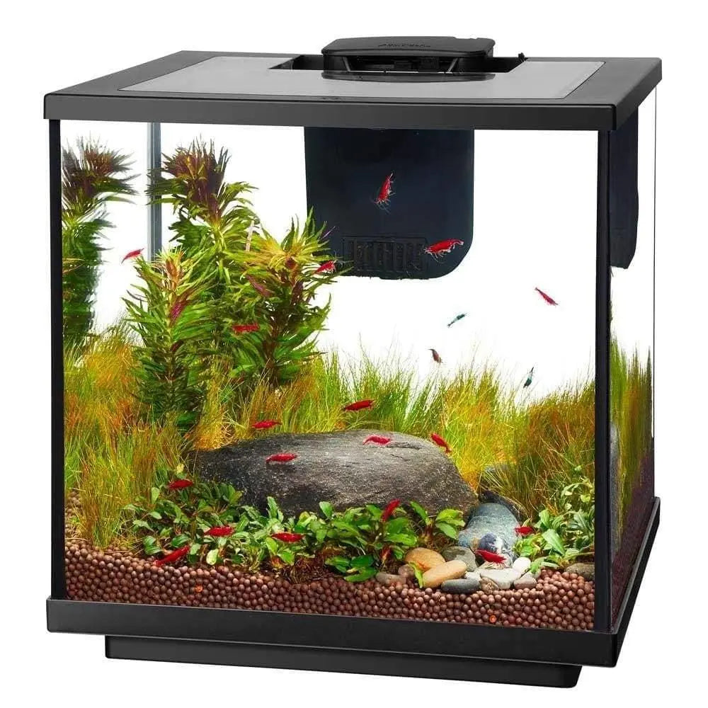 Aqueon Designer LED Shrimp Aquarium Kit 7.5gal Aqueon® CPD