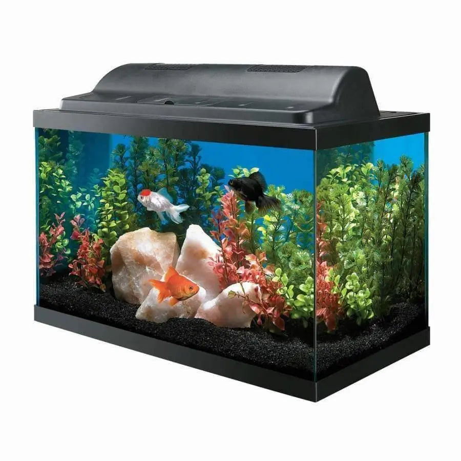 Aqueon Incandescent Aquarium Kit 1ea/10 Aqueon® CPD