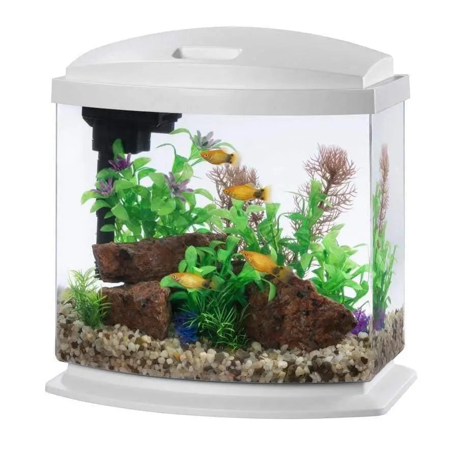 Aqueon LED MiniBow™ Fish Aquarium Kit with SmartClean™ Technology Aqueon® CPD