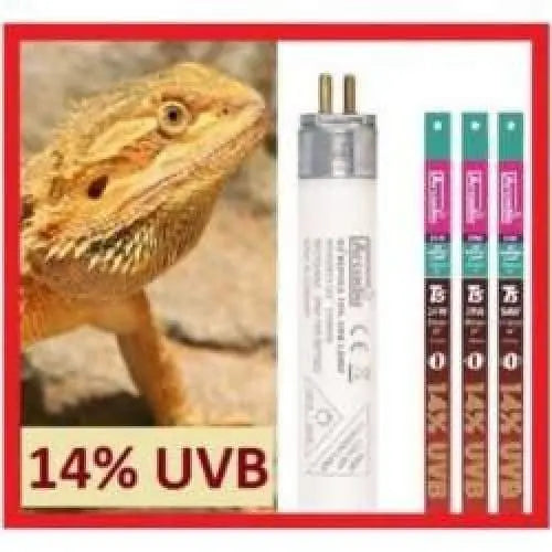 Arcadia D3+ High Output HO T5 Fluorescent Lamp 14% UVB Bulb Dragon Lamp Reptile Light Arcadia