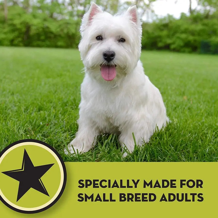 AvoDerm Natural Chicken Meal & Brown Rice - Small Breed Dry Dog Food AvoDerm CPD