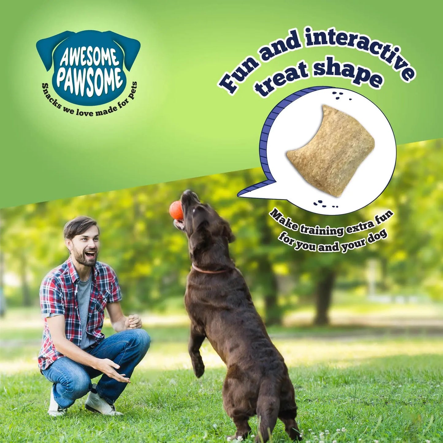 Awesome Pawsome Chicken Dumpling Dog Treats 3oz Awesome Pawsome