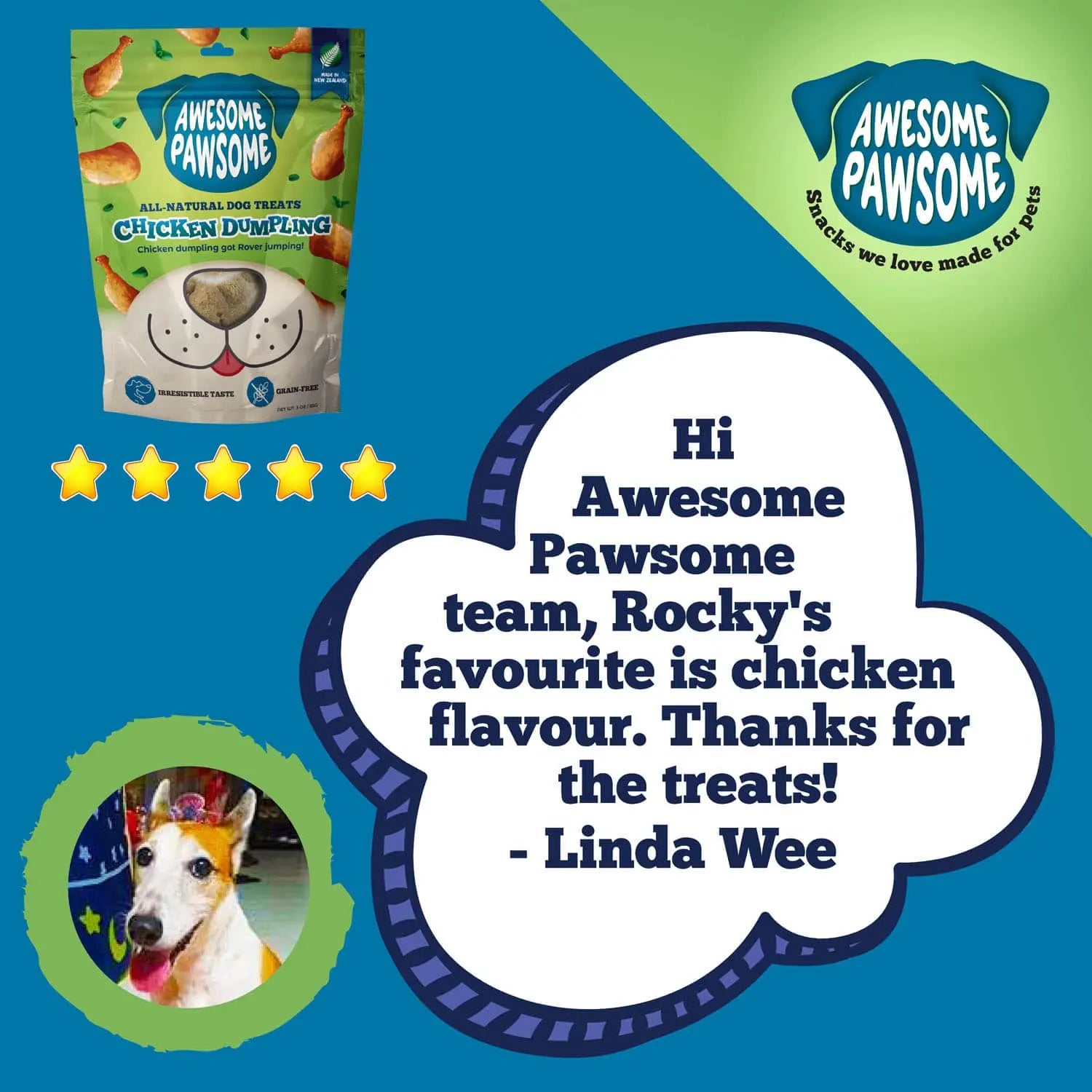 Awesome Pawsome Chicken Dumpling Dog Treats 3oz Awesome Pawsome