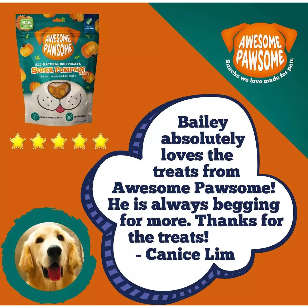 Awesome Pawsome Super Pumpkin Recipe Dog Treats 3oz Awesome Pawsome