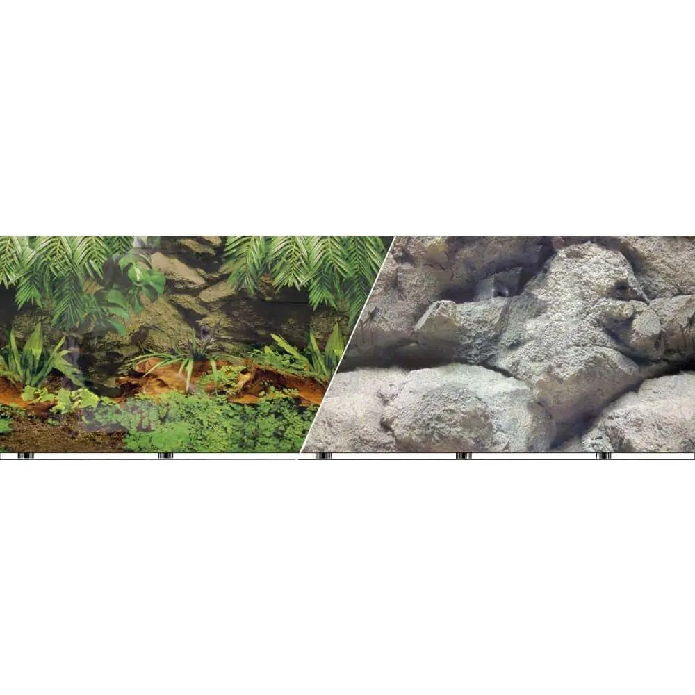 Background Double-sided Rainforest-boulders Blue Ribbon Pet