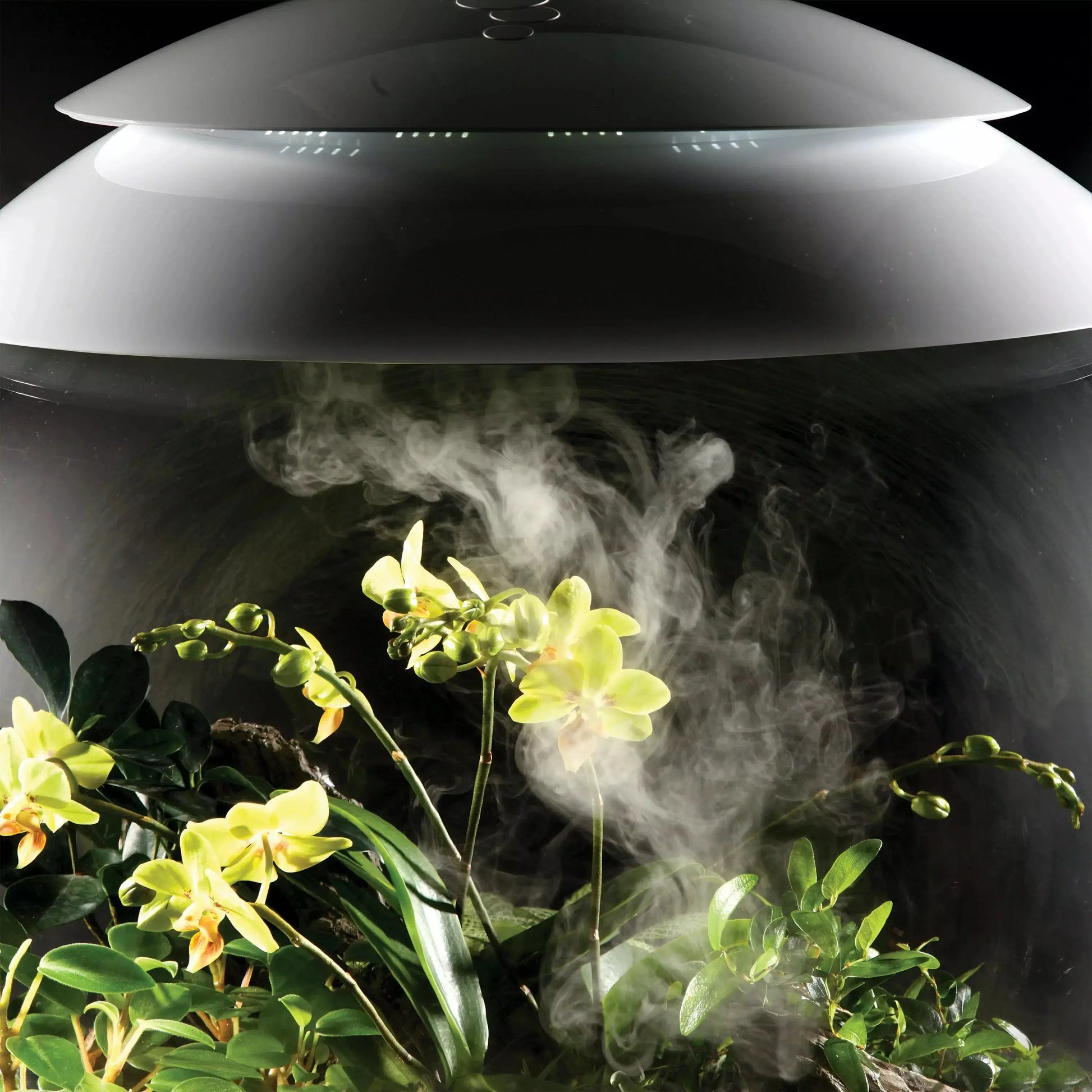 BiOrb AIR HumidiMist 5L BiOrb