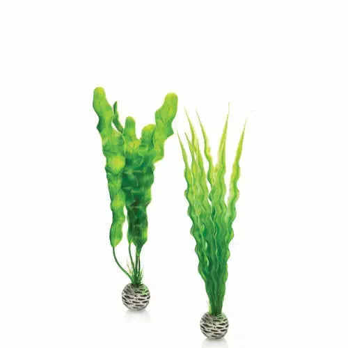 BiOrb Easy Plant Set Green Aquarium Decor BiOrb