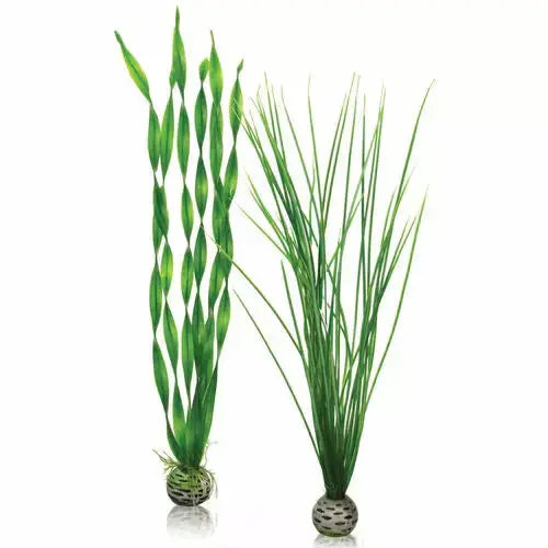 BiOrb Easy Plant Set Green Aquarium Decor BiOrb